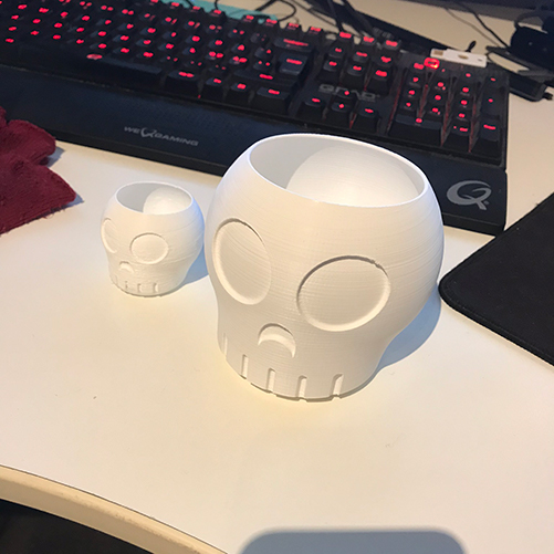 Prototype and skull #1 done